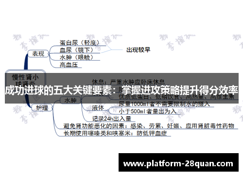 成功进球的五大关键要素：掌握进攻策略提升得分效率
