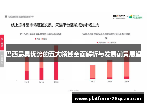 巴西最具优势的五大领域全面解析与发展前景展望