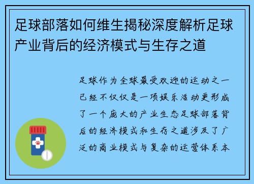 足球部落如何维生揭秘深度解析足球产业背后的经济模式与生存之道