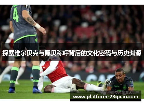 探索维尔贝克与黑贝称呼背后的文化密码与历史渊源